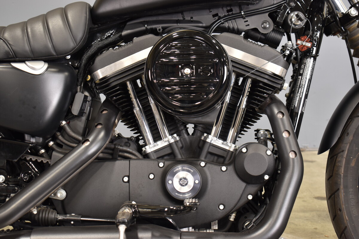 2022 Harley-Davidson Iron 883 XL 883N - Photo 10