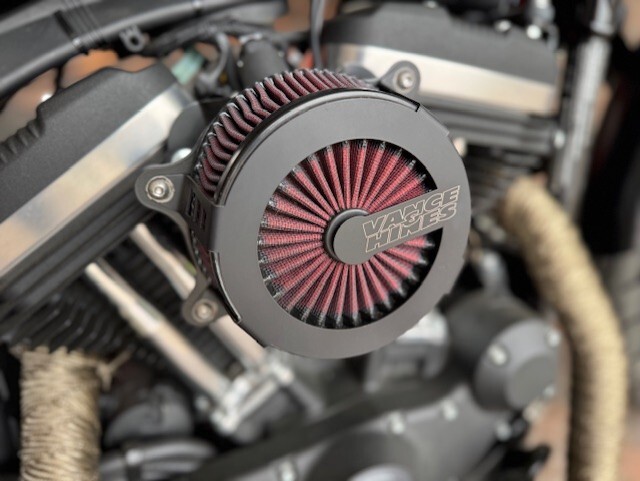 2022 Harley Davidson Iron 883 XL883N - Photo 3