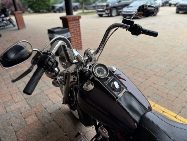 2017 Harley Davidson Softail Deluxe FLSTN - Photo 5