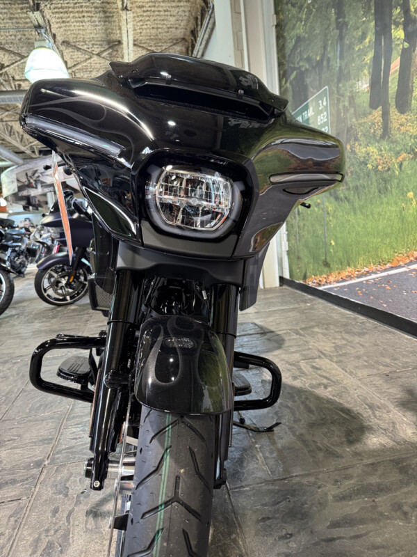 2025 Harley-Davidson Street Glide - Photo 9