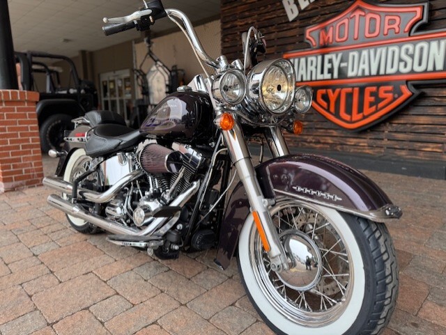 2017 Harley Davidson Softail Deluxe FLSTN - Photo 7
