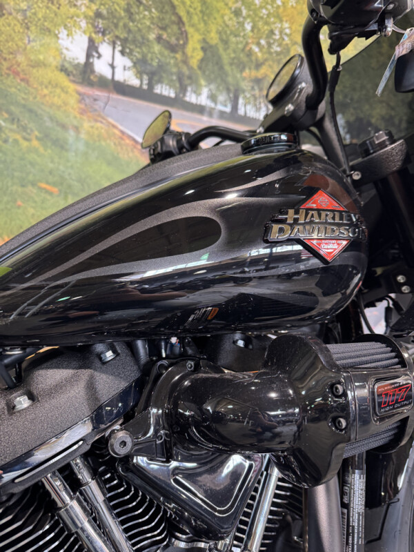 2025 Harley-Davidson Low Rider ST - Photo 8