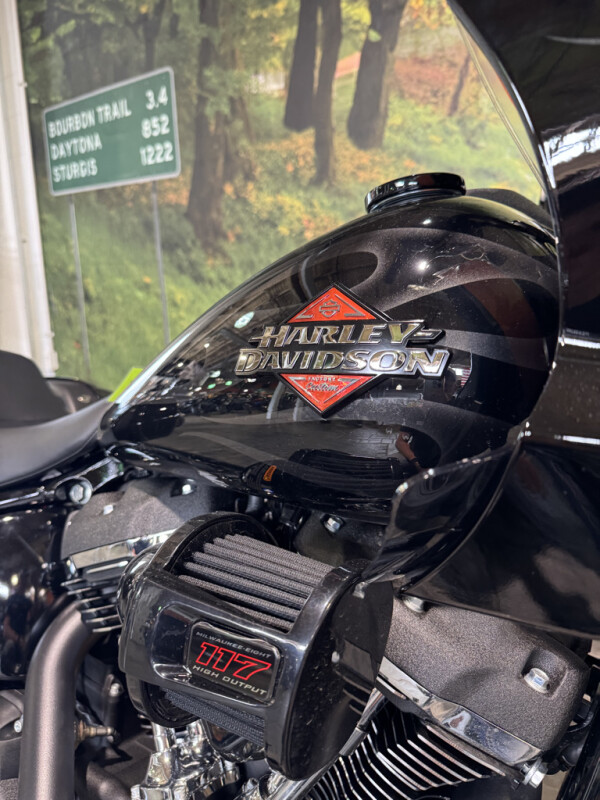 2025 Harley-Davidson Low Rider ST - Photo 2