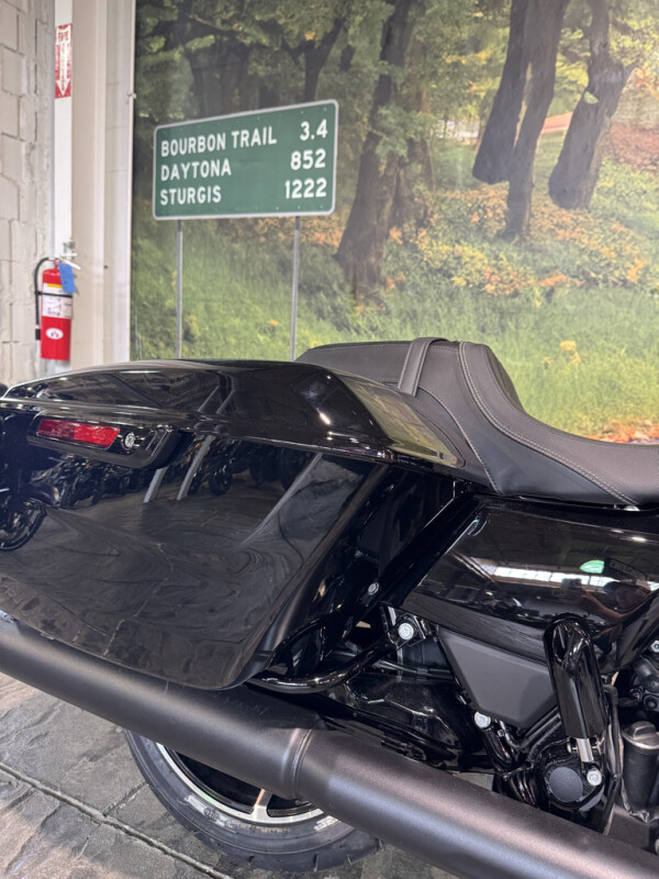 2025 Harley-Davidson Street Glide - Photo 5