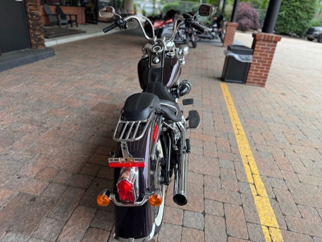 2017 Harley Davidson Softail Deluxe FLSTN - Photo 8