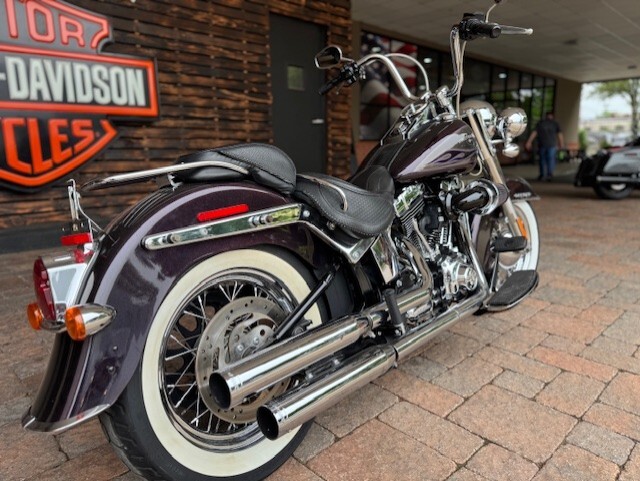 2017 Harley Davidson Softail Deluxe FLSTN - Photo 4
