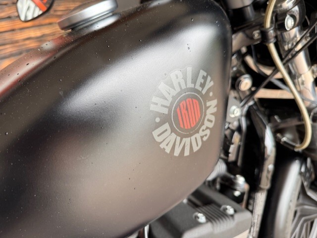 2022 Harley Davidson Iron 883 XL883N - Photo 4