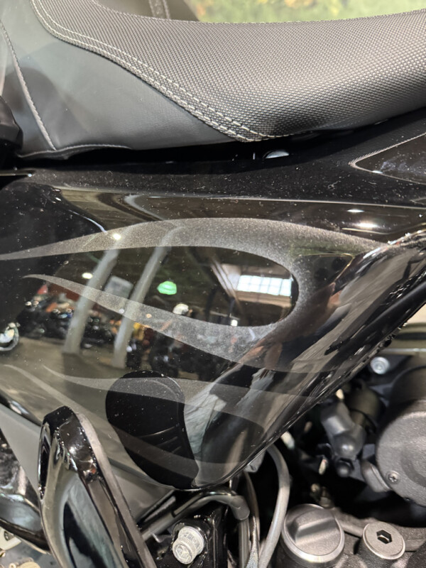 2025 Harley-Davidson Street Glide - Photo 6