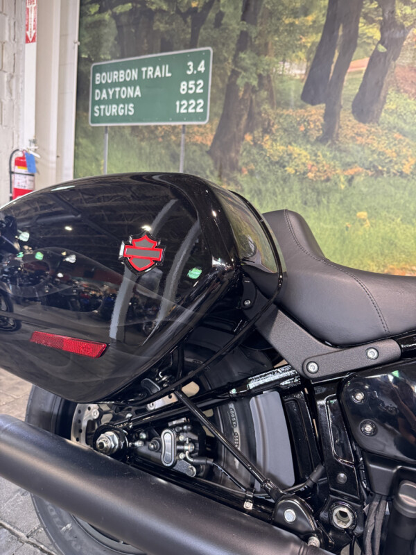 2025 Harley-Davidson Low Rider ST - Photo 6