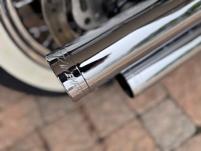 2017 Harley Davidson Softail Deluxe FLSTN - Photo 3