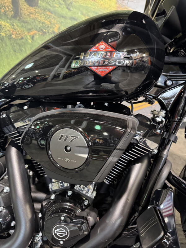 2025 Harley-Davidson Street Glide - Photo 3
