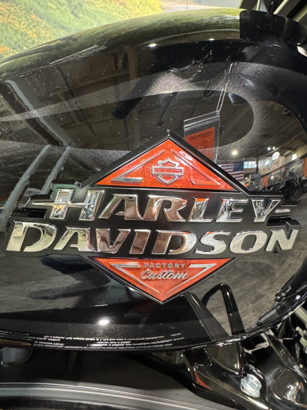 2025 Harley-Davidson Street Glide - Photo 7