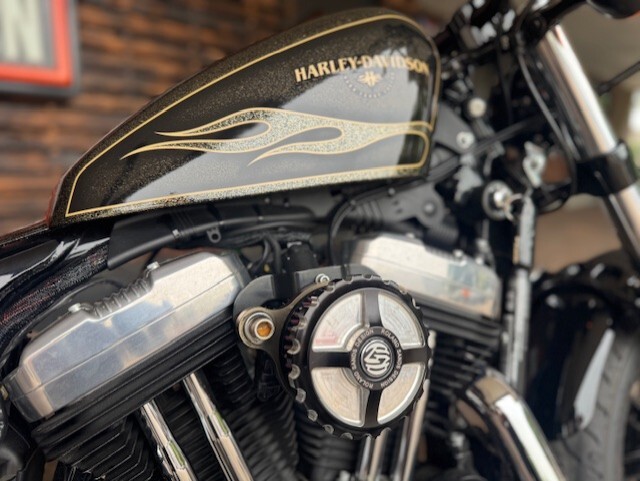2017 Harley Davidson Forty Eight XL1200X - Photo 2