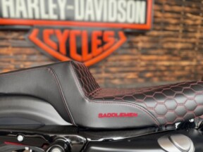 2019 Harley Davidson Iron 883 XL883N thumb 1