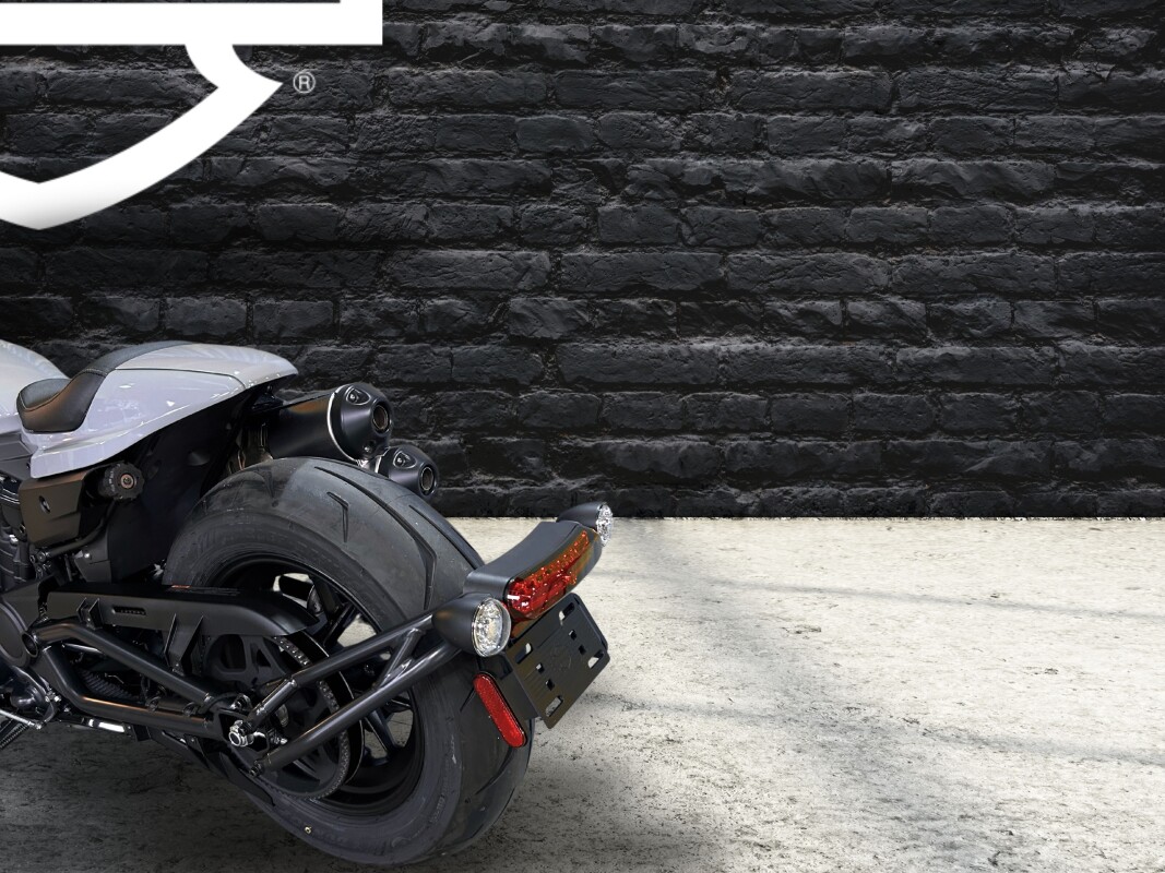 2025 Harley-Davidson Sportster S Billiard Gray - Photo 8