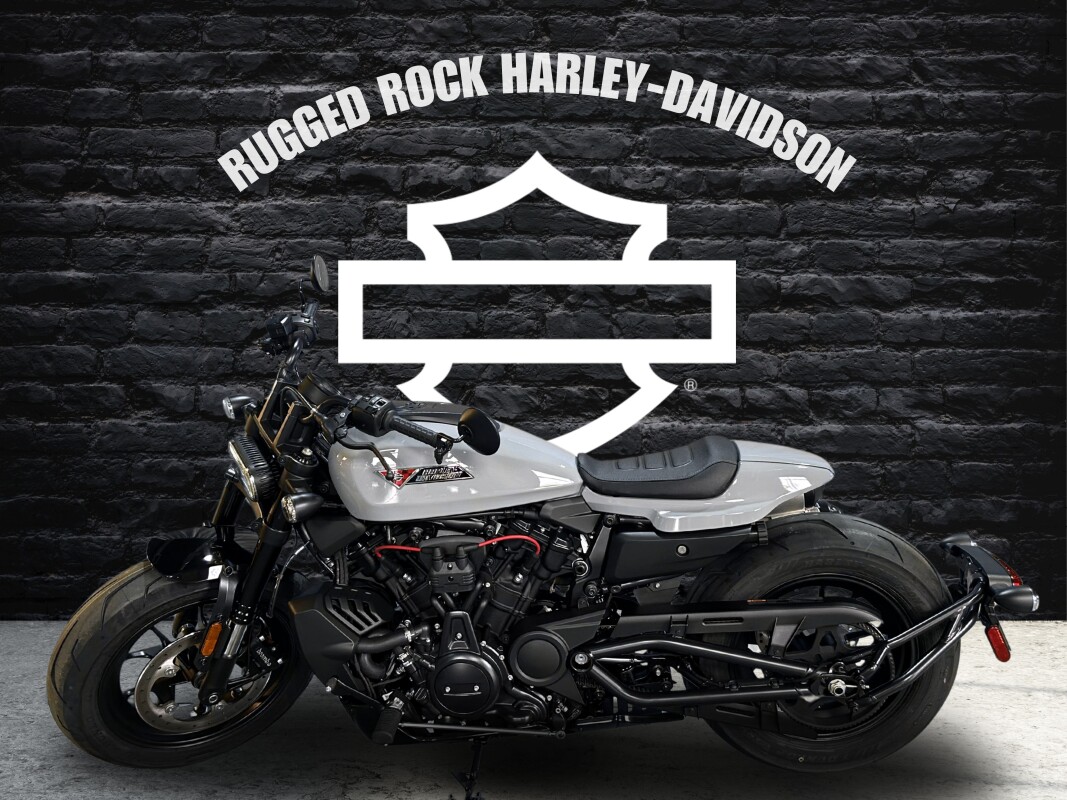 2025 Harley-Davidson Sportster S Billiard Gray - Photo 2