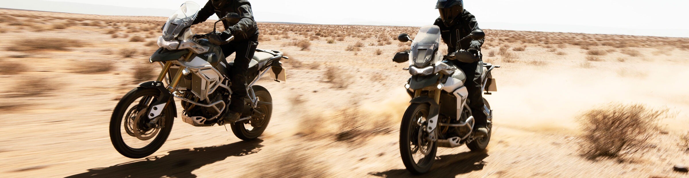 Triumph inventory