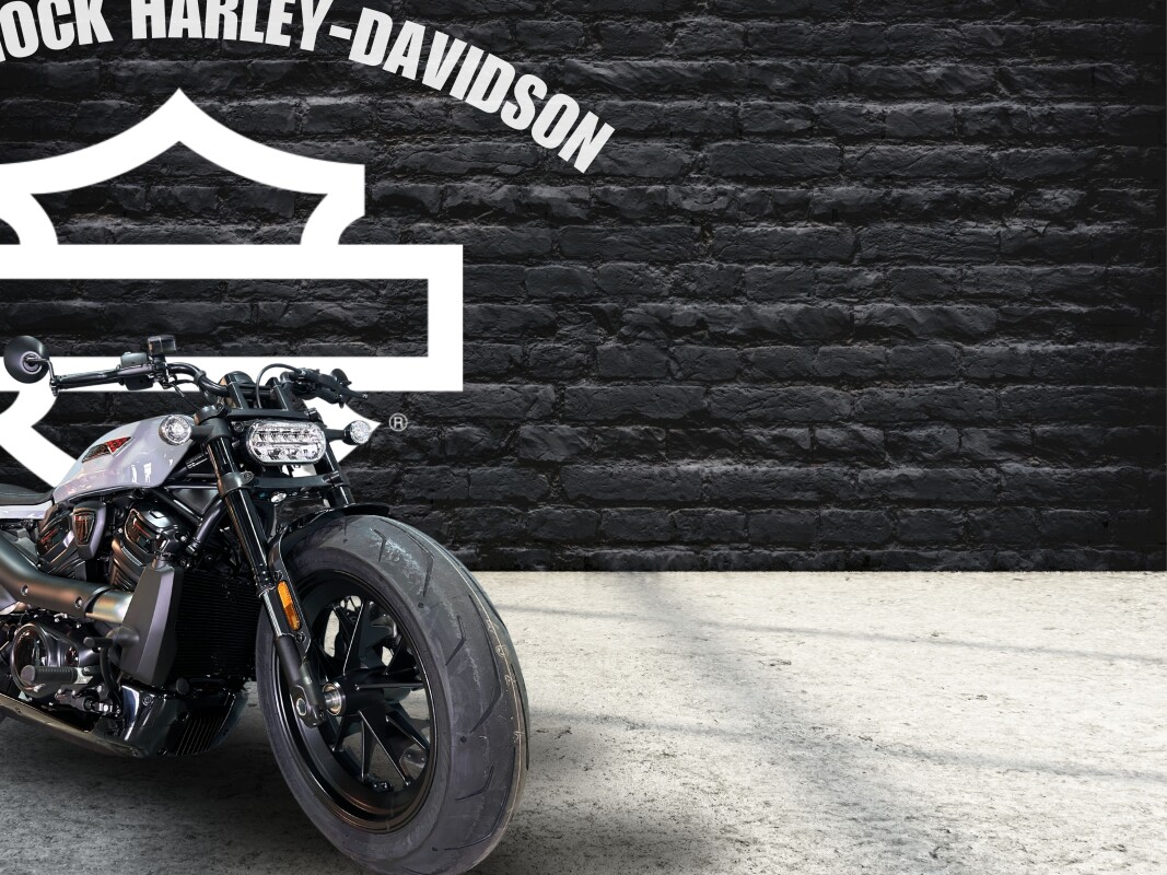 2025 Harley-Davidson Sportster S Billiard Gray - Photo 3