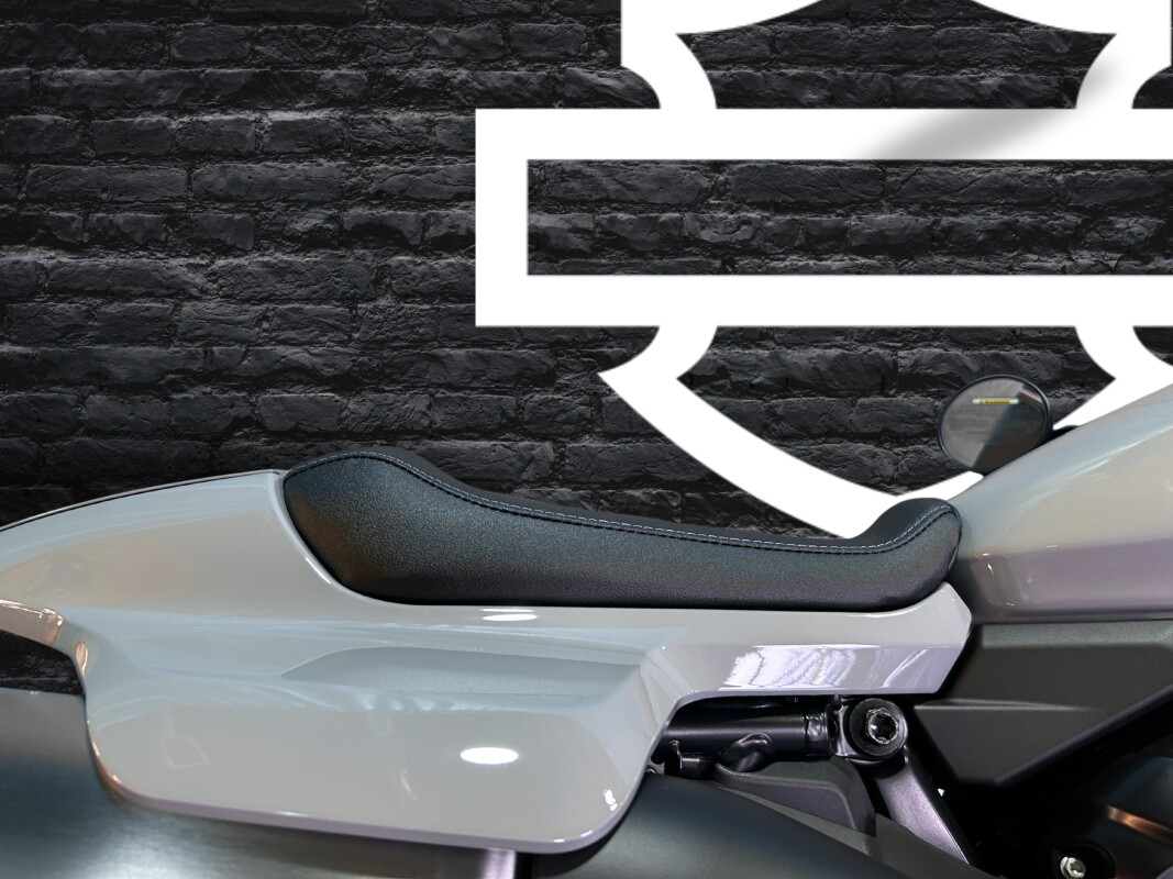 2025 Harley-Davidson Sportster S Billiard Gray - Photo 6