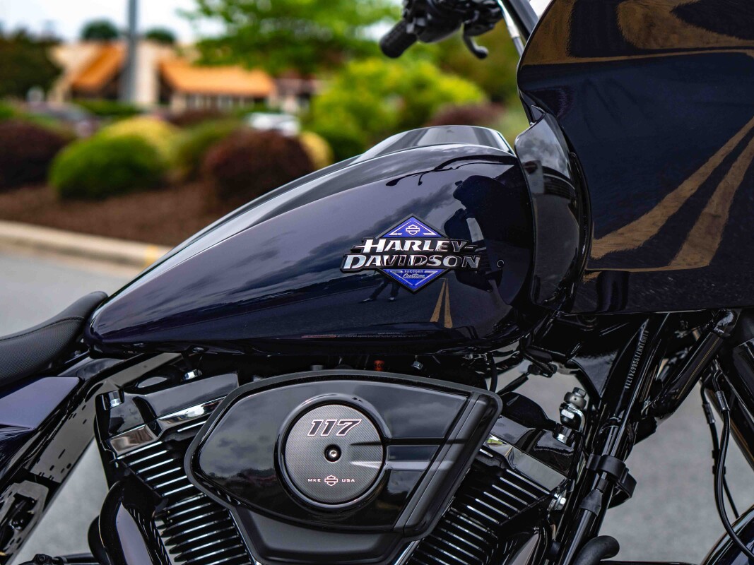 FLTRX 2025 Road Glide - Photo 9