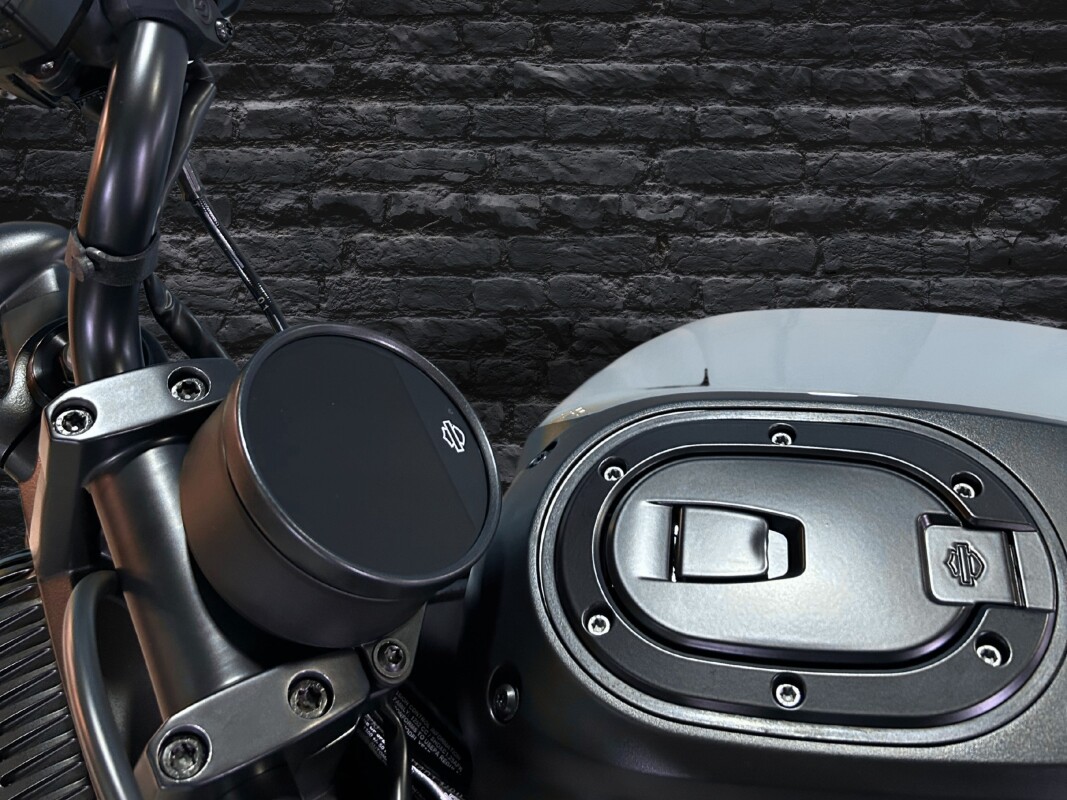 2025 Harley-Davidson Sportster S Billiard Gray - Photo 9