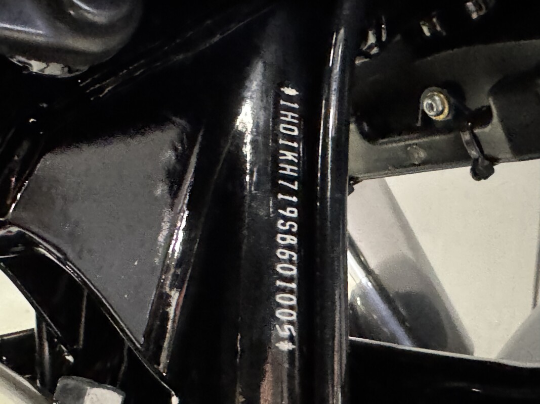 FLTRX 2025 Road Glide - Photo 9