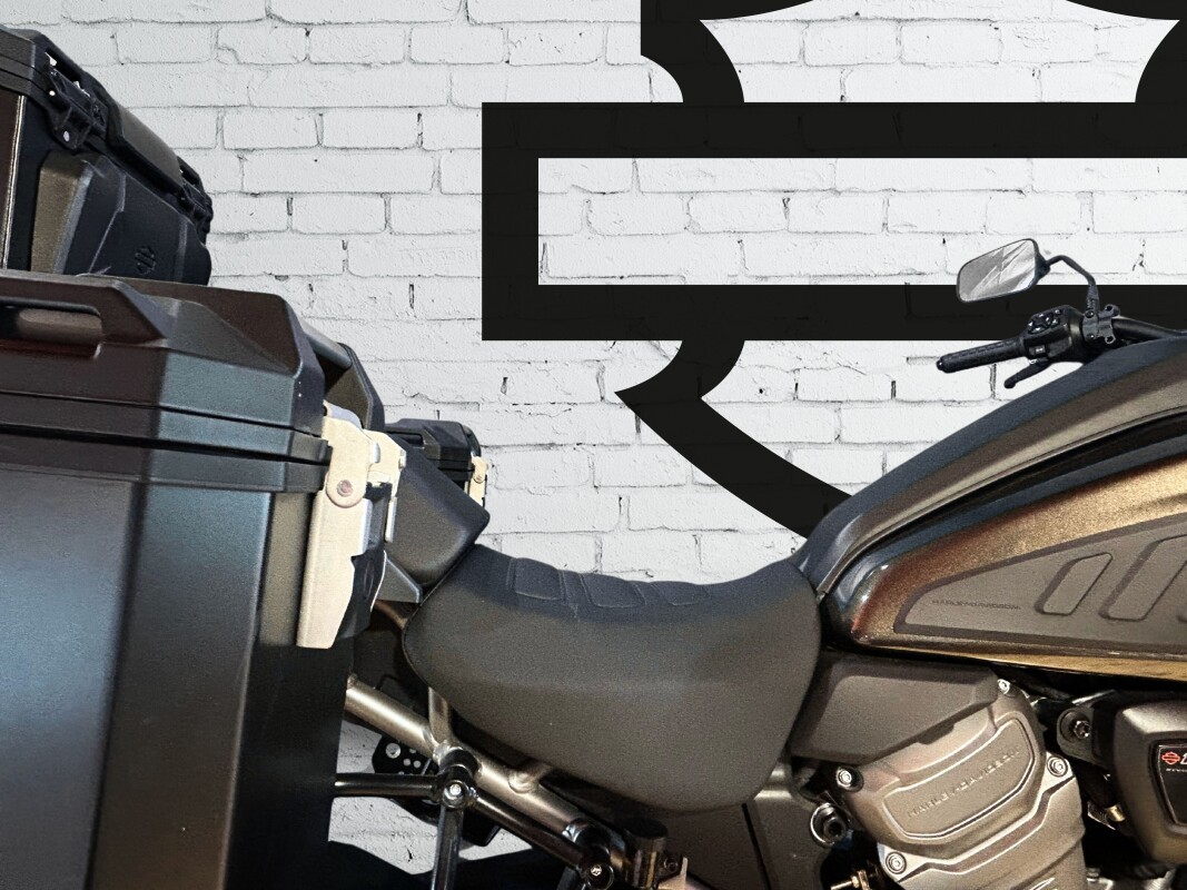 2021 Harley-Davidson Pan America 1250 River Rock Gray - Photo 6