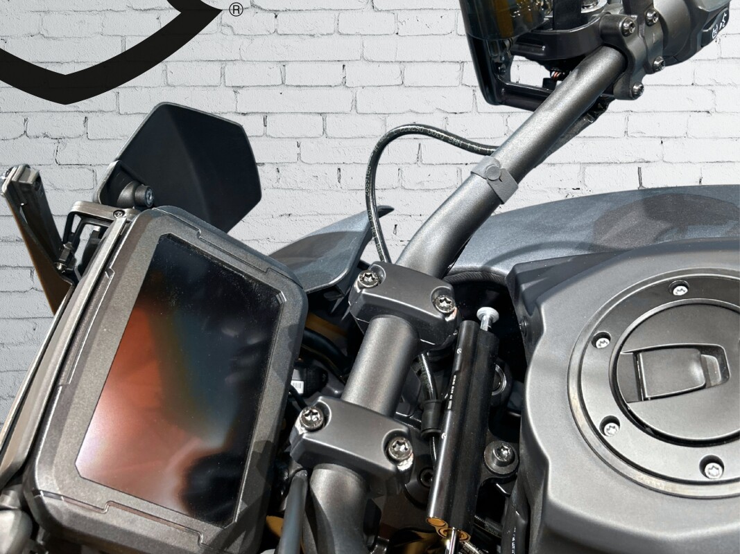 2022 Harley-Davidson Pan America 1250 Special Gauntlet Gray Metallic - Photo 9