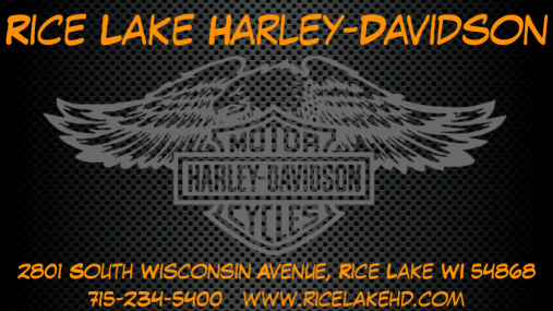 2007 Harley-Davidson Sportster Custom Allover Custom Print - Photo 7