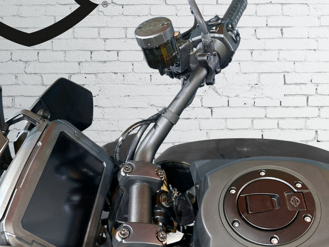 2021 Harley-Davidson Pan America 1250 River Rock Gray - Photo 9
