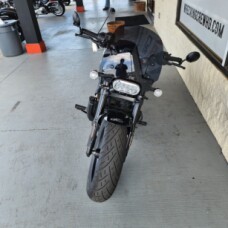 RH1250S 2022 Sportster<sup>®</sup> S thumb 3