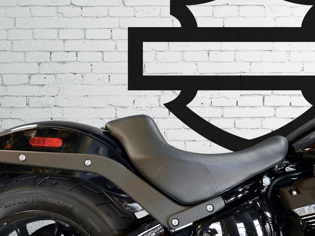 2025 Harley-Davidson Low Rider S Vivid Black - Photo 6