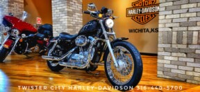 2006 Harley-Davidson<sup>®</sup> Sportster® 883 Low, XL883L thumb 2