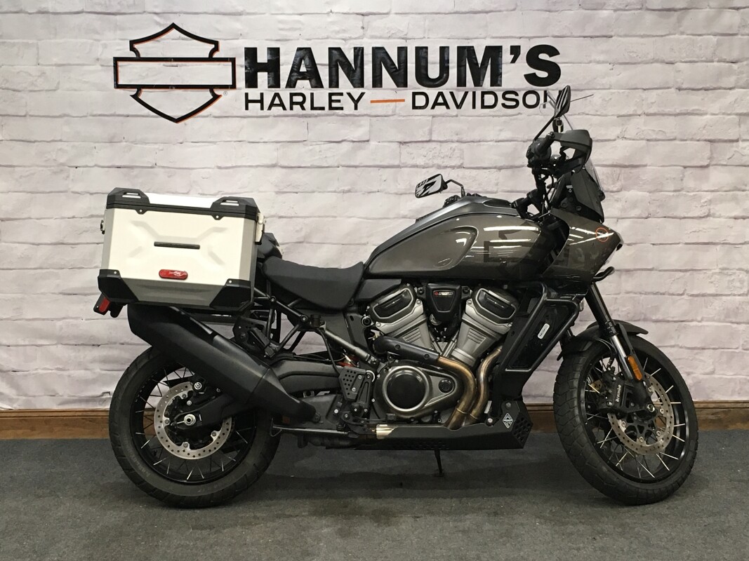 2023 Harley-Davidson Pan America 1250 Gray Haze RA1250S
