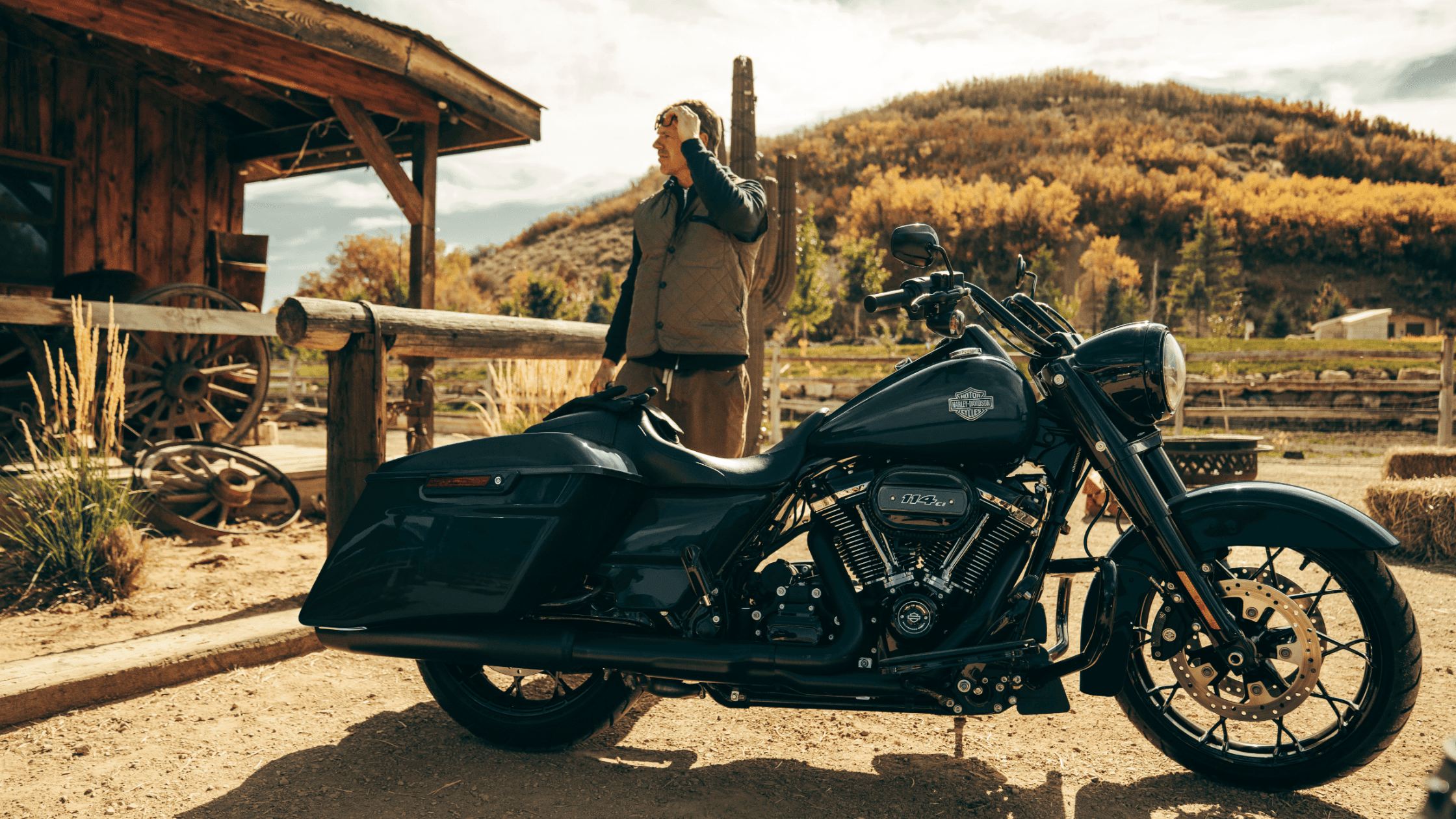 2025 Harley-Davidson® Road King® Special
