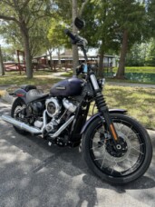 2025 Harley-Davidson<sup>®</sup> Street Bob® thumb 3