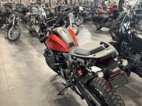 *DEMO* 2025 Harley-Davidson Pan America 1250 Special thumb 2