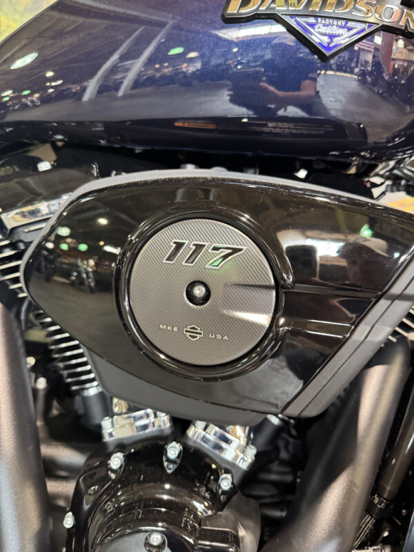 2025 Harley-Davidson Street Glide - Photo 4