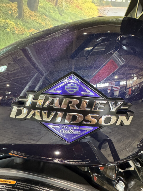 2025 Harley-Davidson Street Glide - Photo 3