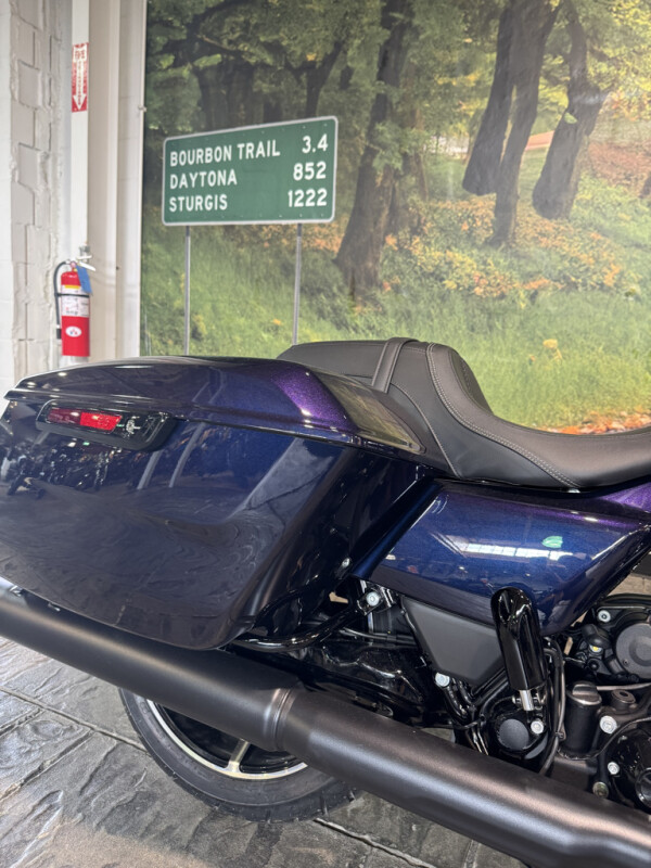 2025 Harley-Davidson Street Glide - Photo 6