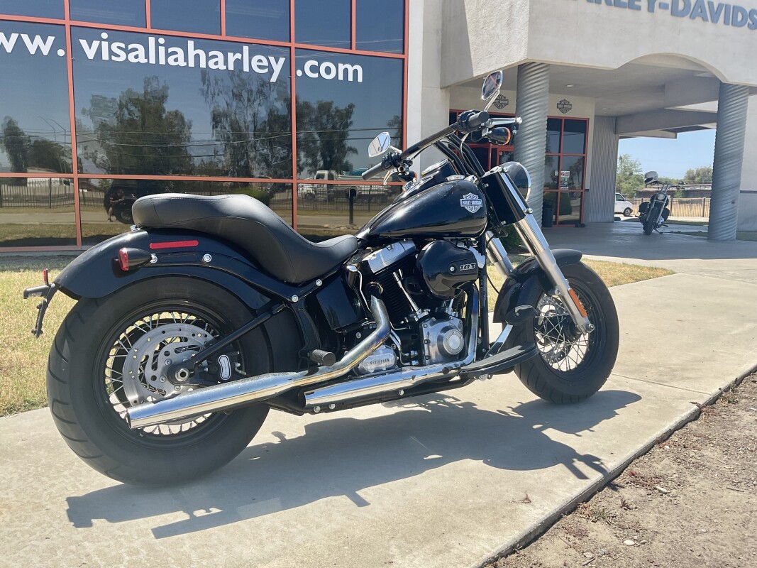 FLS 2016 Softail Slim - Photo 2