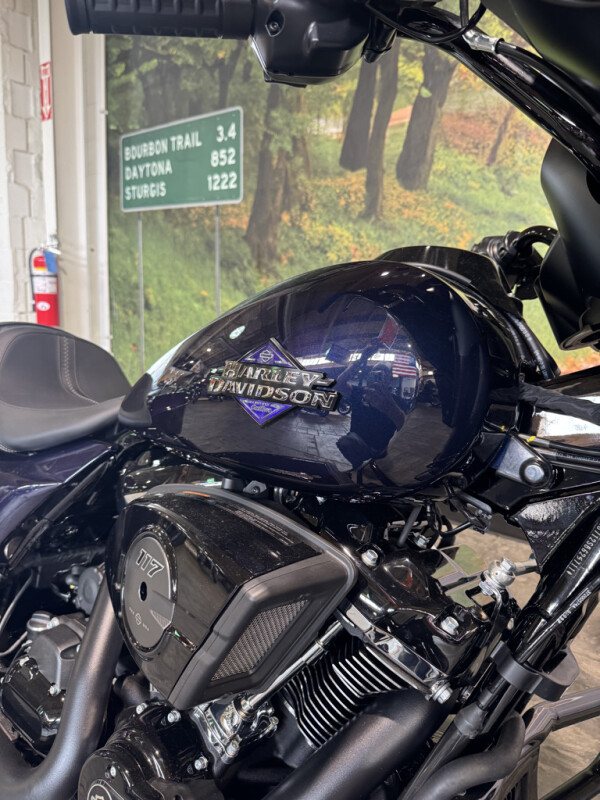 2025 Harley-Davidson Street Glide - Photo 2