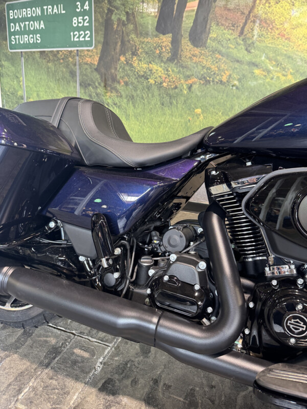 2025 Harley-Davidson Street Glide - Photo 5