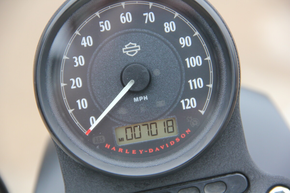2022 Harley-Davidson Iron 883 - Photo 10