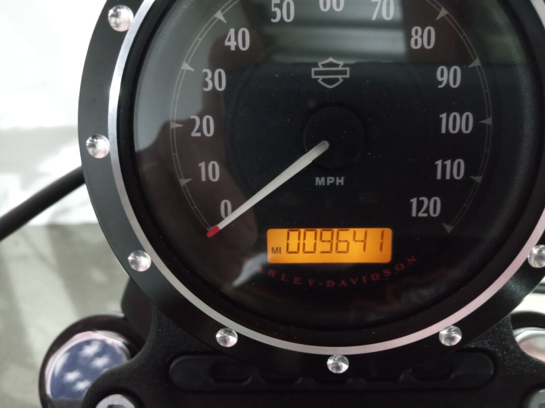 2019 Harley-Davidson Iron 883 INDUSTRIAL GRAY - Photo 5