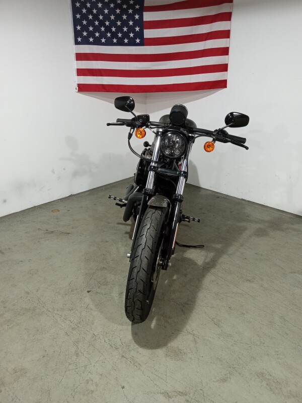 2019 Harley-Davidson Iron 883 INDUSTRIAL GRAY - Photo 2