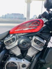 Harley Davidson Sport Nightster Redline Red thumb 3