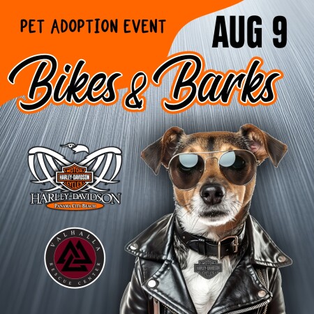 Pet Adoption Event