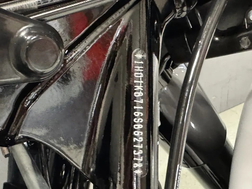 FLHX 2025 Street Glide - Photo 9