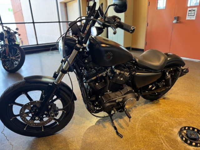 2019 Harley Davidson Iron 883 XL883N - Photo 6